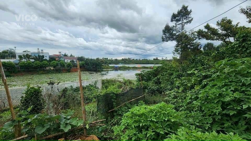 bán ngay lô đất siêu đẹp giá siêu ưu đãi