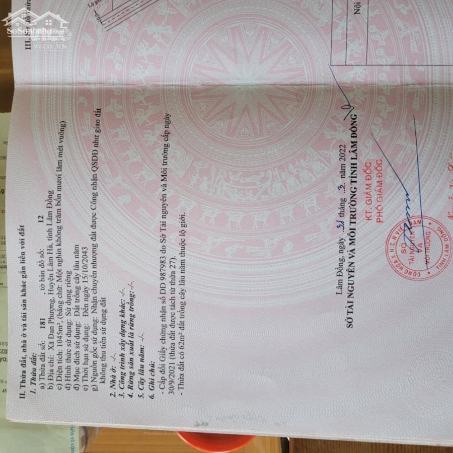 Chính chủ ngộp ngân hàng cần sang cọc nhanh giá lỗ chỉ 1tỷ 250 triệu có 1.045m2 ngay Đan Phượng,