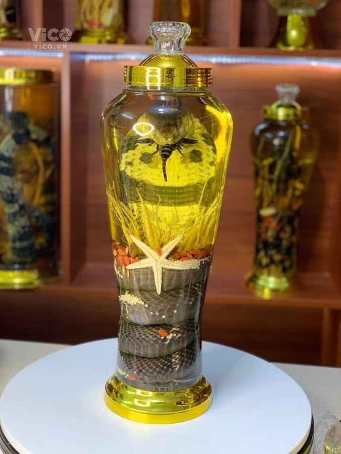 CẦN XẢ LỖ 30 BÌNH RƯỢU RẮN 7L, GIÁ CHỈ 1,1 TRIỆU/ BÌNH LA KHÊ, HÀ ĐÔNG HÀ NỘI