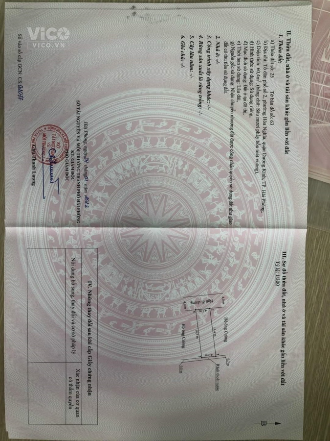 Siêu phẩm tuyến 2 Hải Phong, Hòa Nghĩa, Dương Kinh