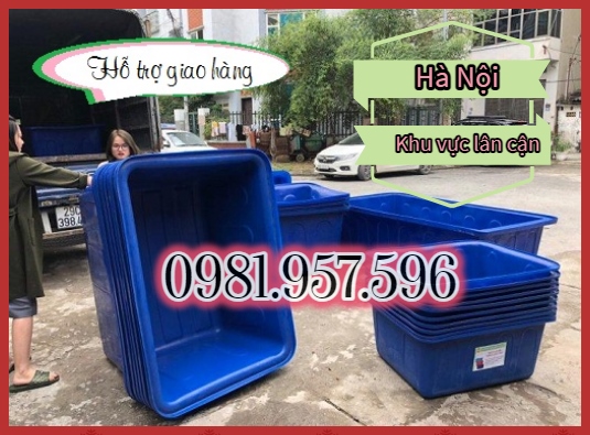 Thùng nhựa nuôi cá, thùng nhựa 100L, thùng nhựa 200L