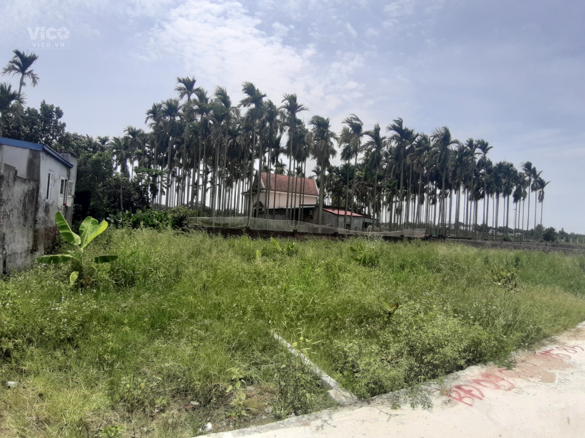 Siêu phẩm tuyến 2 Hải Phong, Hòa Nghĩa, Dương Kinh