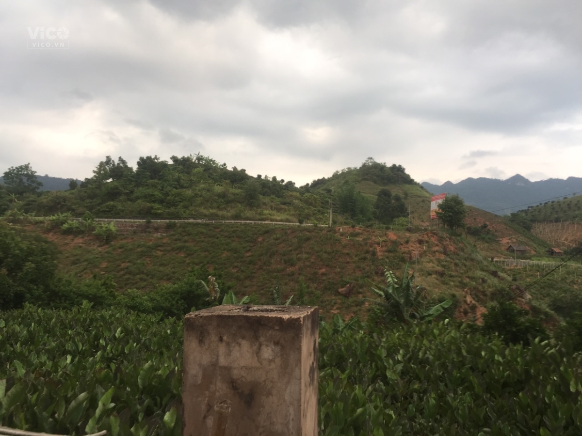 Đất Mộc Châu, 1484m2, xã Chiềng Sơn, giá siêu rẻ, phù hợp làm homestay,