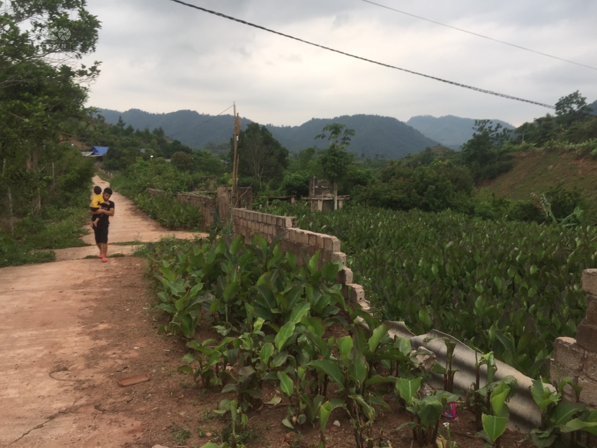 Đất Mộc Châu, 1484m2, xã Chiềng Sơn, giá siêu rẻ, phù hợp làm homestay,