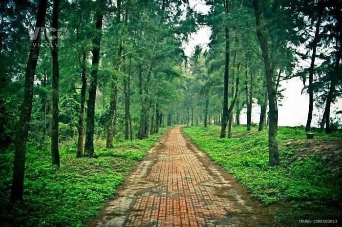 CHÍNH CHỦ BÁN LÔ ĐẤT 160 M2 MẶT BIỂN TẠI ĐẢO CÔ TÔ, , 100% THỔ CƯ,