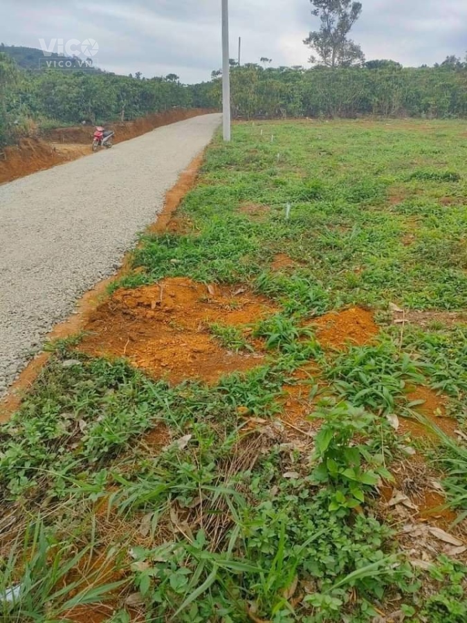 CẦN BÁN NHANH LÔ ĐẤT THÔN 16 LỘC THÀNH BẢO LÂM LÂM ĐỒNG