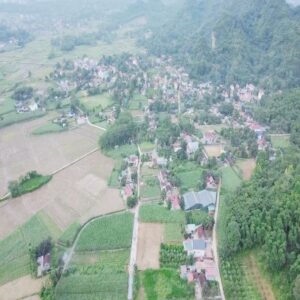 Cho thuê nhà ngõ 15 Tạ Quang Bửu, Hai Bà Trưng , Hà Nội