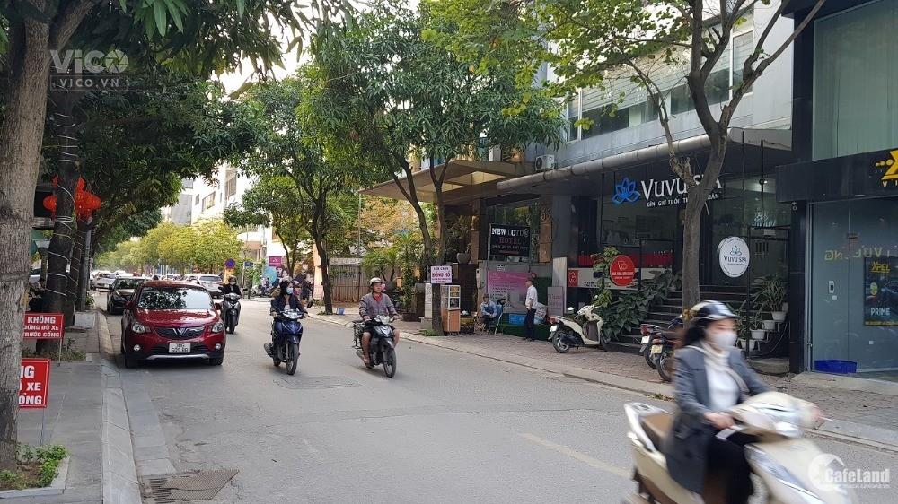 Bán Gấp_Nhà Đẹp Khu ĐTM Dịch Vọng, Cầu Giấy 86m2, MT6m, Giá chỉ 26 tỷ