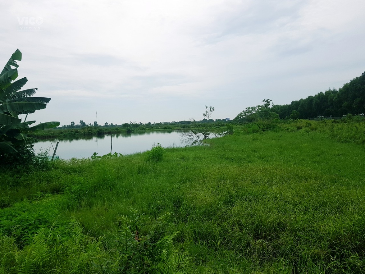 Lô đất 6458m Đất nuôi trông thủy sản bám đường nhựa cao tốc Hà Nội Hải Phòng . Kiến Thụy , Gía