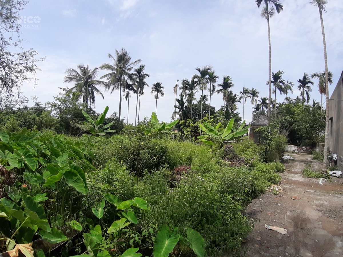 Siêu phẩm hơn nghìn mét vuông tại Hòa Nghĩa, Dương Kinh