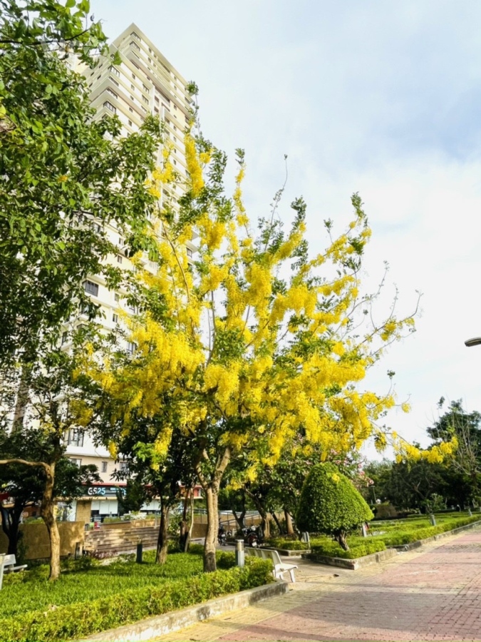 Chính chủ bán căn hộ Era Town Quận 7 View Sông Thoáng Mát , Giá cực tốt