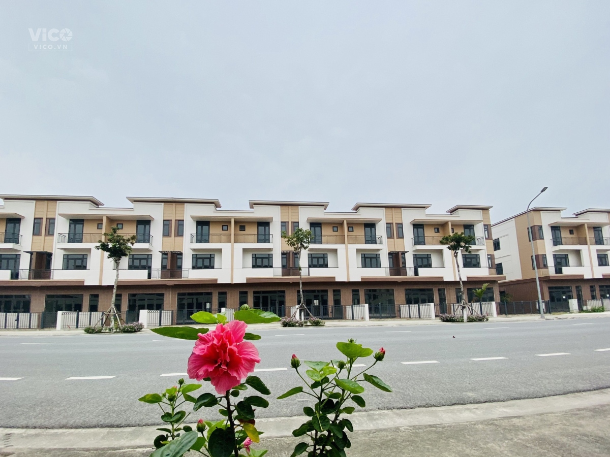 Bán shophouse trên trục phố đi bộ đường 56m