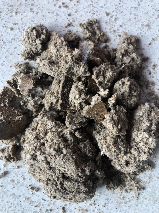 Cám Dừa cho chăn nuôi