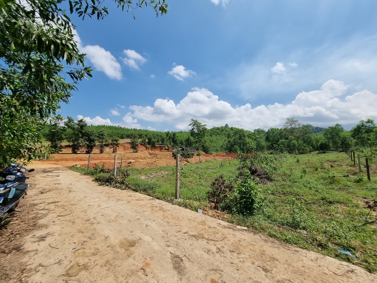 BÁN LÔ ĐẤT MẶT TIỀN ĐƯỜNG, 1 CÔNG ĐẤT CHỈ 100 TRIỆU THƯƠNG LƯỢNG / Mr Hòa 0909127160