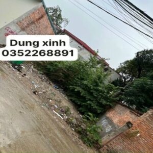 Chính chủ cần bán gấp căn hộ Tại địa chỉ 8x Đầm Sen, phường Hiệp Tân, Quận Tân Phú