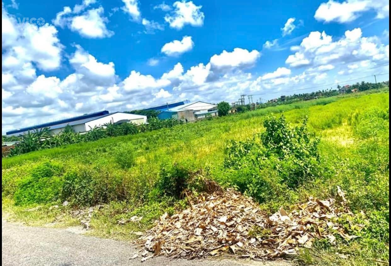 Anh chị đang loay hoay tìm mảnh đất siêu to siêu khổng lồ tại trung tâm huyện Kiến Thụy , Hải Phòng