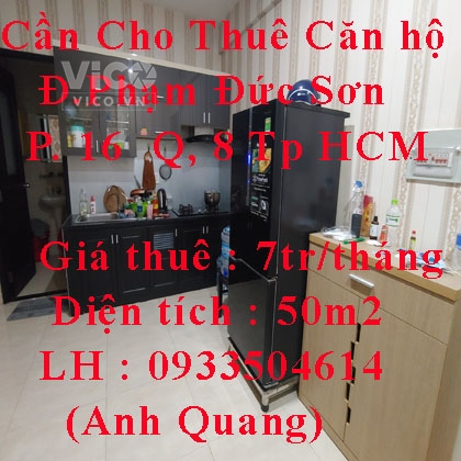 Cần Cho Thuê Căn hộ Đường Phạm Đức Sơn Phường 16 Quận 8 Tp Hồ Chí Minh