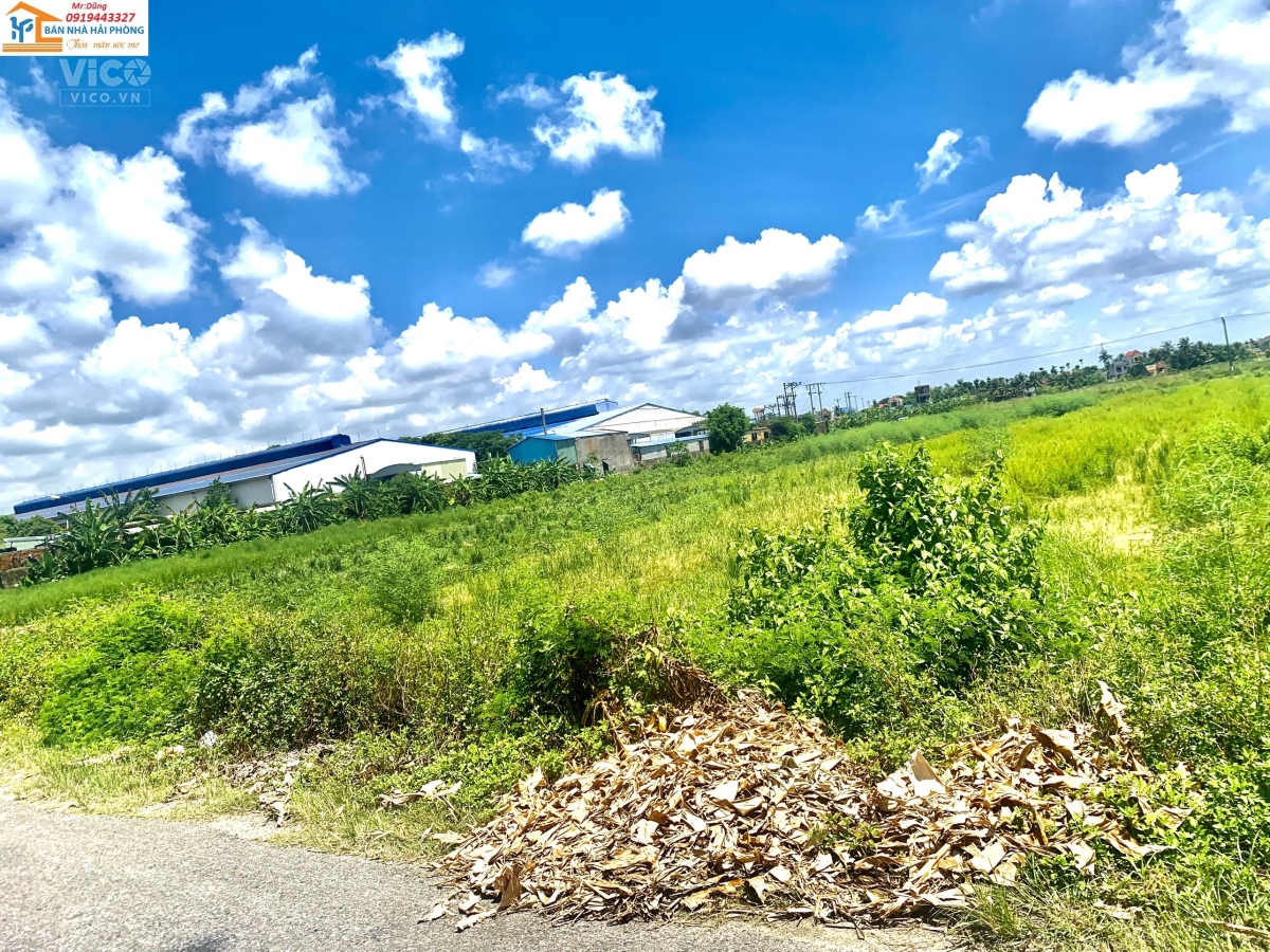 64.000m2 đất thương mại dịch vụ Đường cao tốc Hà Nội , Hải Phòng giá 2tr/m2