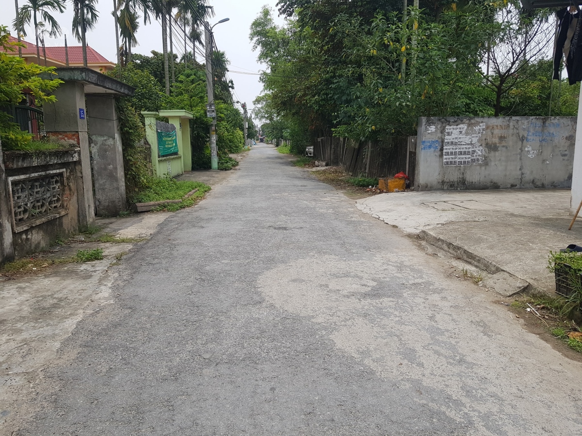 Lô đất đẹp như Ngọc Trinh cách đường quy hoạch cầu Rào 3 chỉ 50m, tại Phấn Dũng, Anh Dũng, Dương