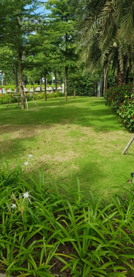 BÁN ĐẤT CHÍNH CHỦ 143M2 MẶT TIỀN 30.4 VŨNG TÀU 12,5 TỶ.LH0931308080