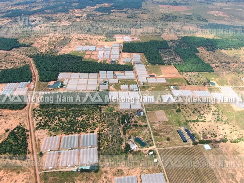 ĐẤT VƯỜN VEN BIỂN BÌNH THUẬN CHỈ 80 nghìn/m2