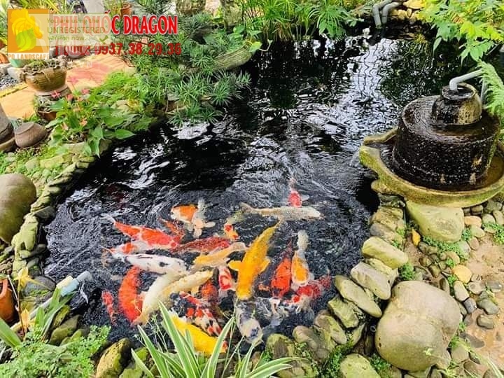 Thiết kế hồ Koi chuẩn Nhật Bản tại Đồng Nai, TPHCM
