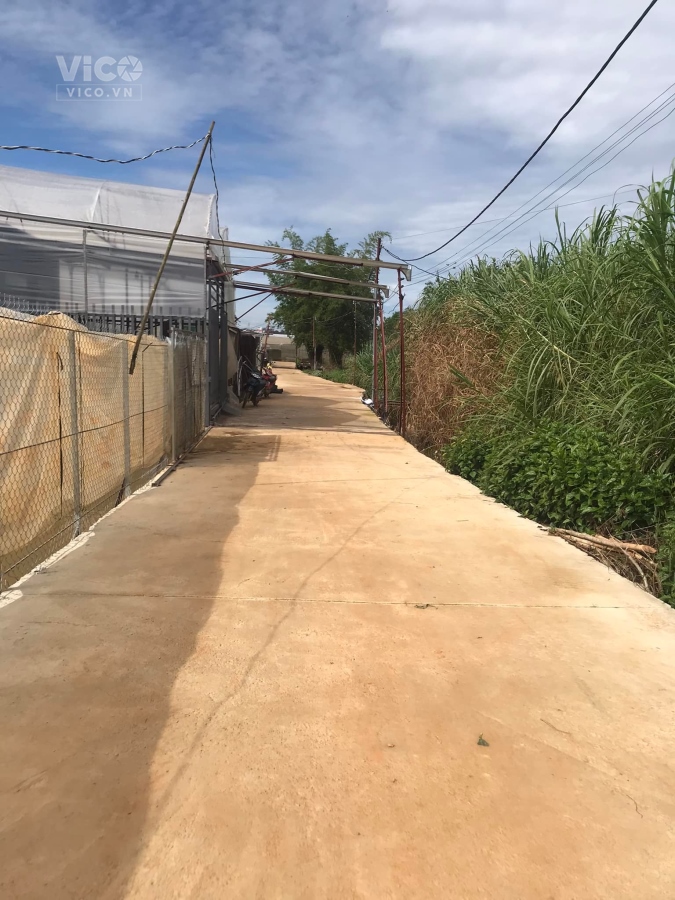 CẦN BÁN NHANH LÔ ĐẤT PHƯỜNG 8 TP ĐÀ LẠT