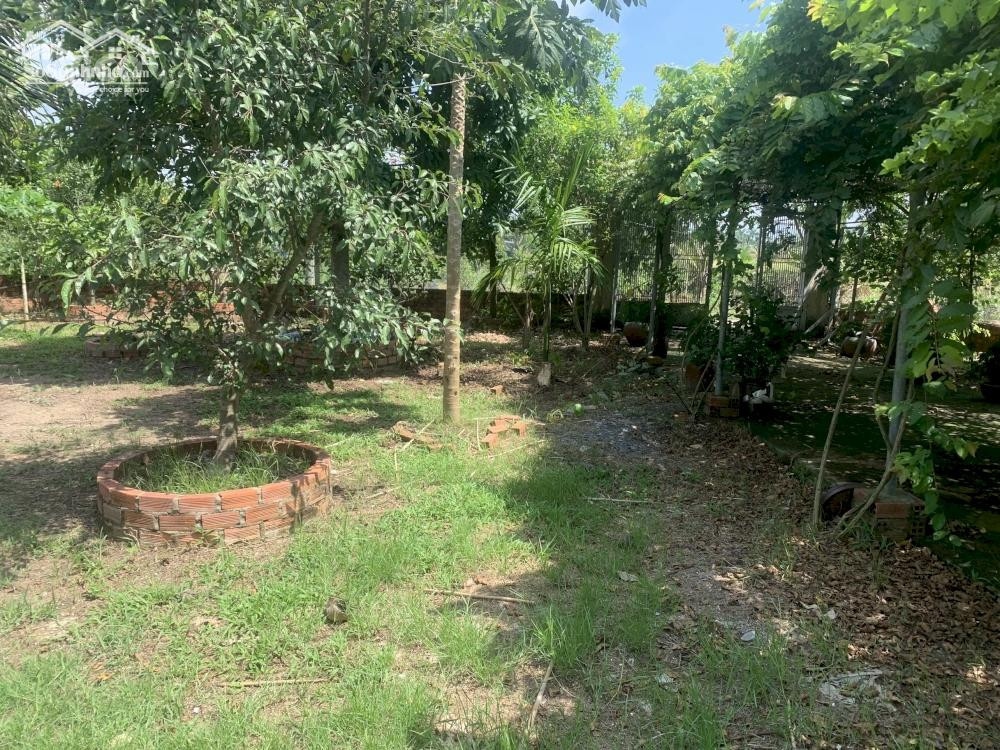 Chính chủ cần cho thuê Nhà nguyên căn mặt tiền Tú Mỡ, Phường 7, Gò Vấp