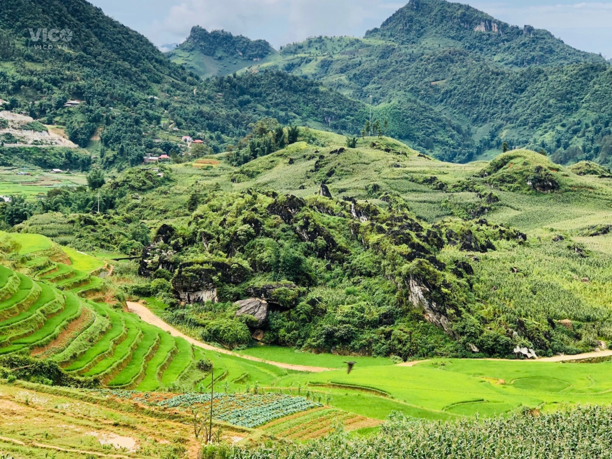 Đón sóng sân bay SAPA,đất Tả Phìn gần các homstay dự án lớn view săn mây cực đẹp