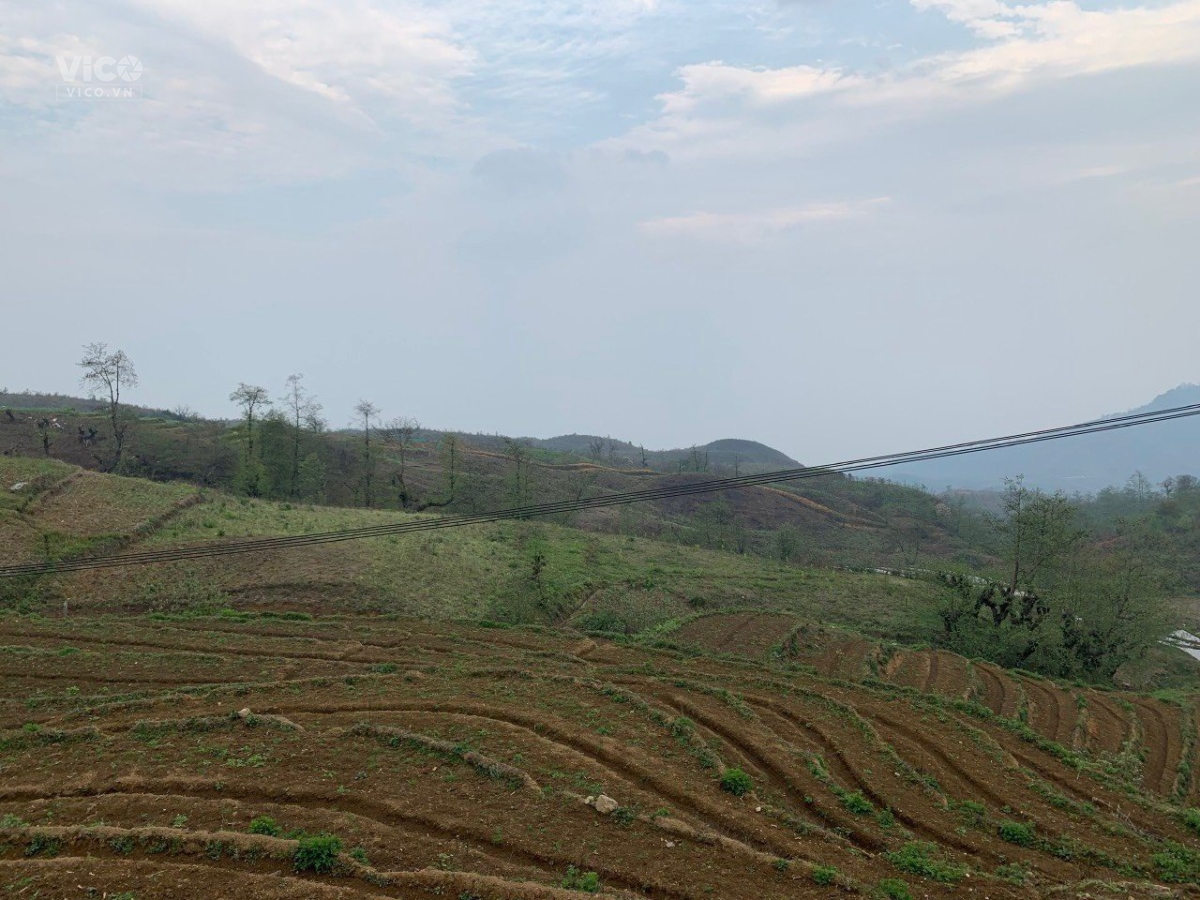Mảnh đất 400m tại Trung Chải Y Tý (sapa2) , sẵn sổ. Đón đầu du lịch 4 mùa (0369583341)