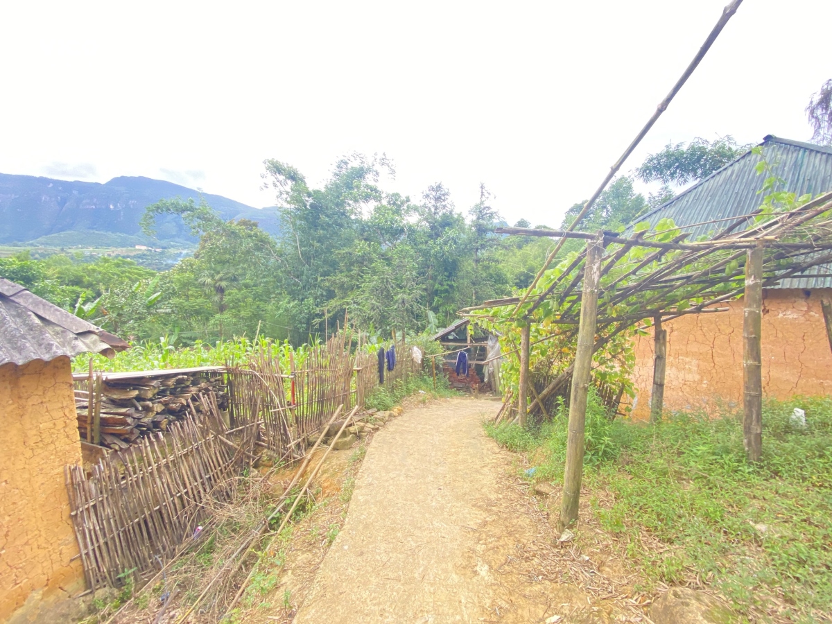 Bán gấp mảnh đất 440m2 Sín Chải, Y Tý,Bát Xát, Lào Cai View nhìn thung lũng, ruộng bậc thang