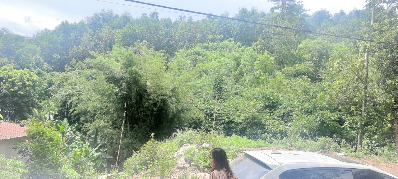 BÁN NHANH LÔ ĐẤT FUN THỔ CƯ 225 TẠI THÀNH PHỐ HÒA BÌNH GIÁ CHỈ VÀI TRĂM LÀ ANH CHỊ CÓ NGAY LÔ ĐẤT
