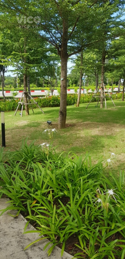 BÁN ĐẤT CHÍNH CHỦ 143M2 MẶT TIỀN 30.4 VŨNG TÀU 12,5 TỶ.LH0931308080