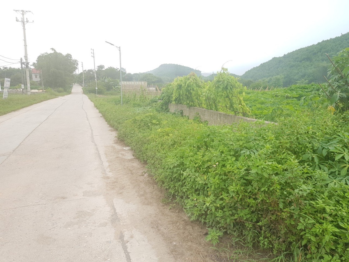Bán 246.2 m2 Thôn Tràng Hương, xã Đoàn Kết, huyện Vân Đồn