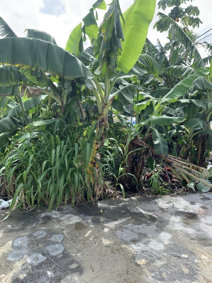 Chưa đến 1 tỷ có ngay lô đất mặt đường Phạm Gia Mô, Hưng Đạo, Dương Kinh