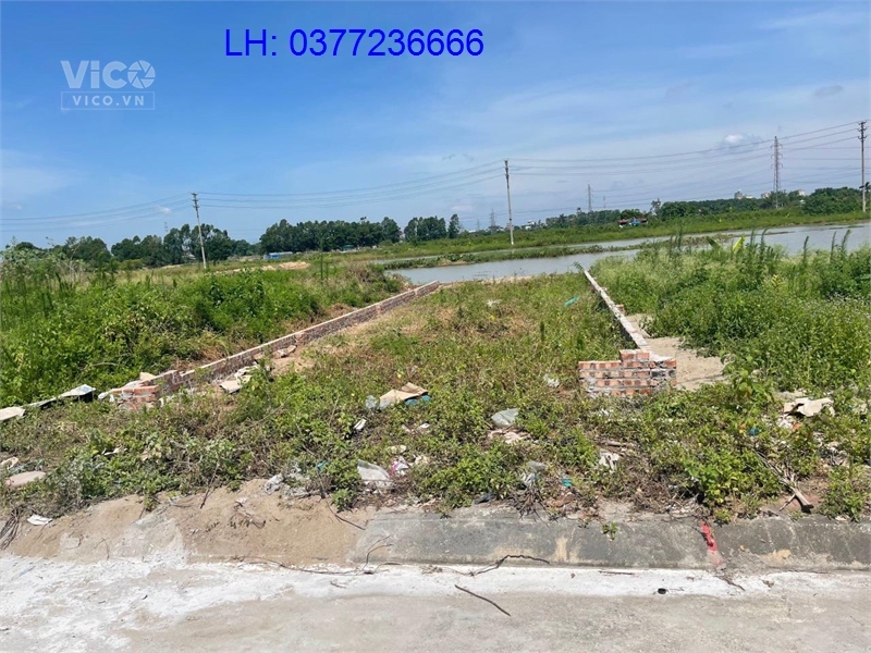 Cần bán gấp 80m đất đấu giá X2 Đồng Nhân, Hải Bối, Đông Anh. LH 0377236666