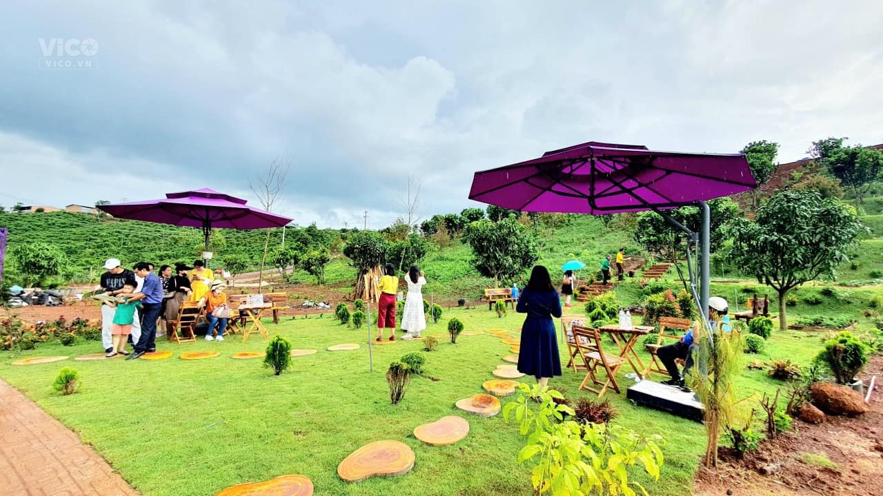 Đất nền Bảo Lộc Lâm Đồng. Giá đầu tư.