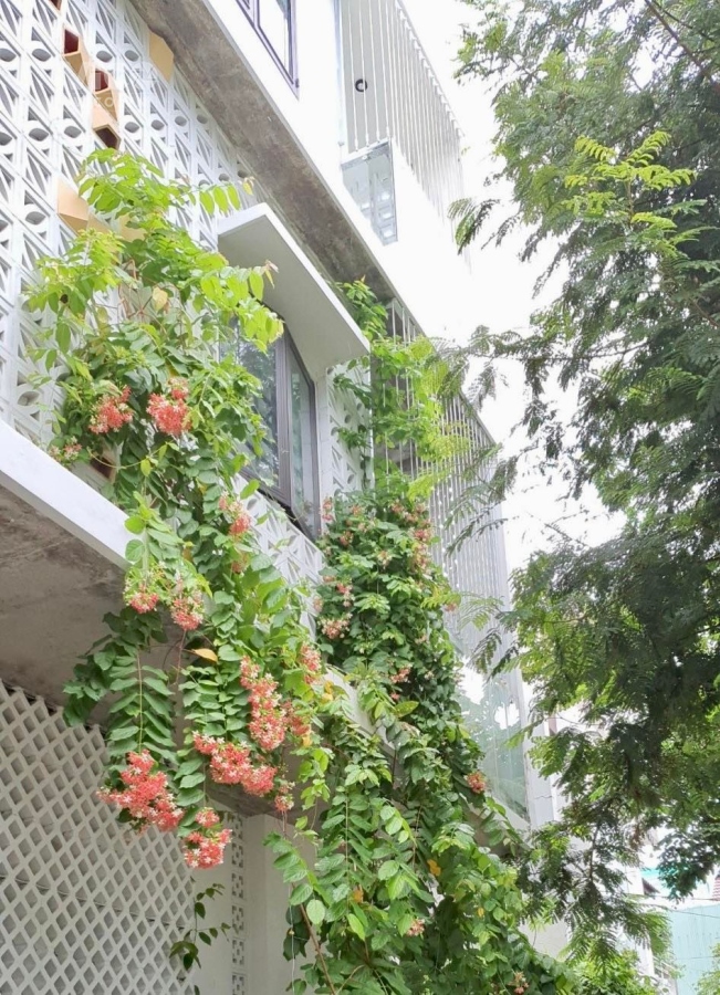 Biệt thự mặt tiền lô góc Sơn Trà, 3T114m, 11.7tỷ, 0947744113