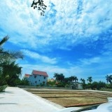 Chính chủ Bán 2 ô đất nằm trên đường trục chính xã ,dân cư đông đúc ,xung quanh đầy đủ tiện ích