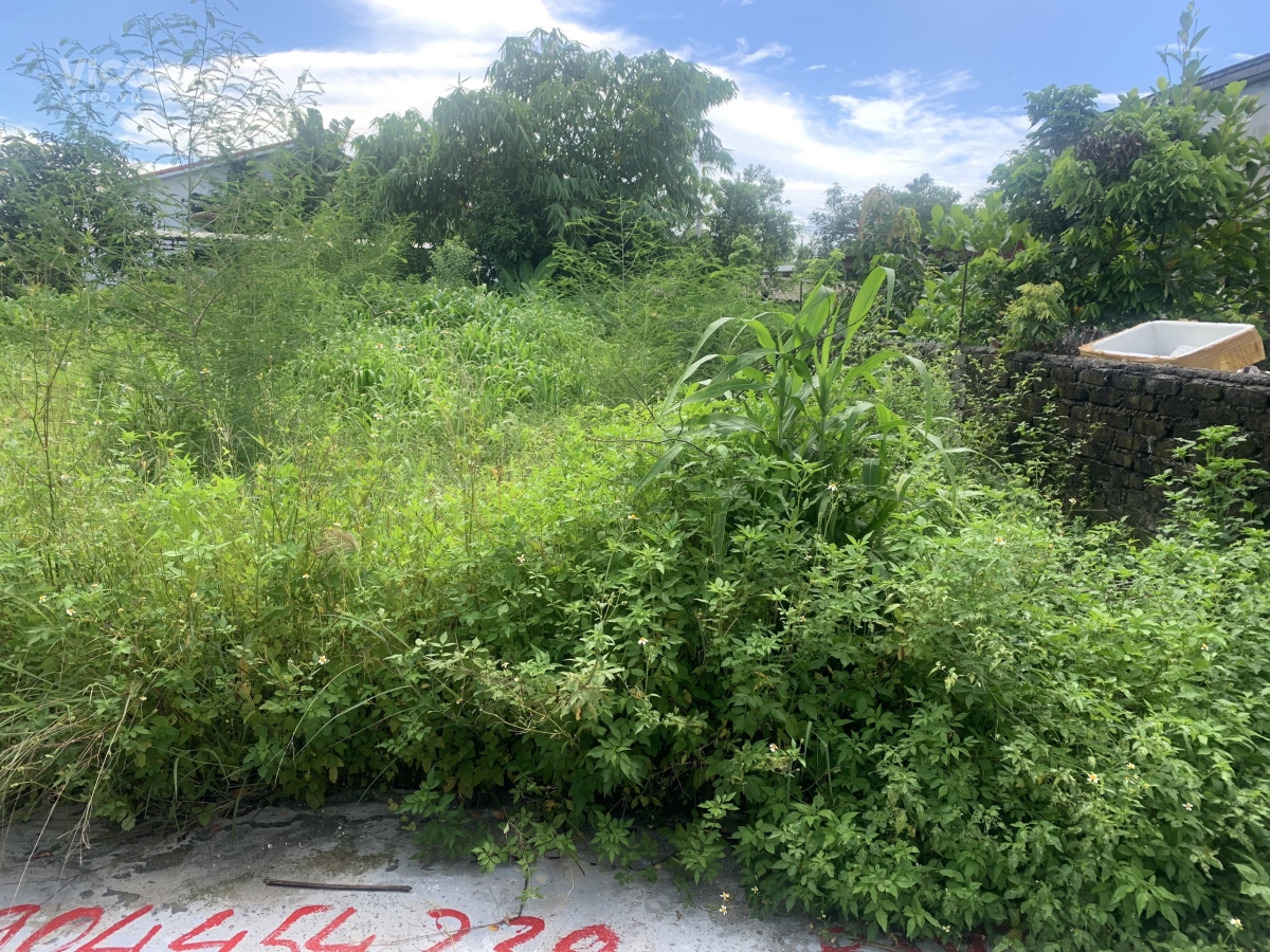 Lô đất giá đầu tư tại Tư Thuỷ, TDP 10 Hoà Nghĩa, Dương Kinh