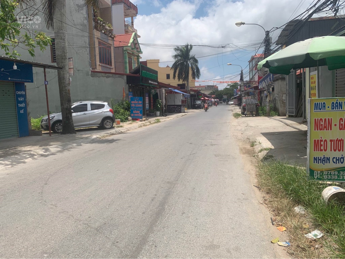 Hàng hiếm Mặt đường Hợp Đức Quý Kim Đồ Sơn