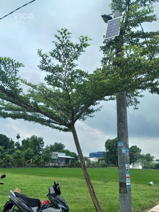 Bán Đất Thổ Cư 5X22 DT 823 Đức Hòa Đông .Đức Hòa Long An.Giá 1945 tỷ