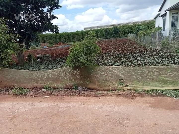 Bình Thạnh Đức trọng Lâm Đồng 10 x 54, 100mtc. cách ql 27 100 m, đất bằng, đường thông, khu dân