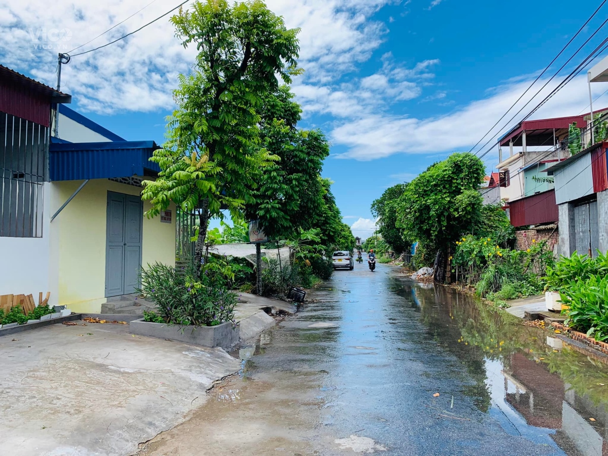 Mặt đường Bùi Phổ, Tân Thành, Dương Kinh, Hải Phòng. 180m2 giá 19tr