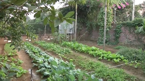 Chủ cần bán gấp mảnh đất Hà Trì 168m2, mặt tiền 10m, xây CCMN hoặc chia lô xây nhà ở rất đẹp, giá