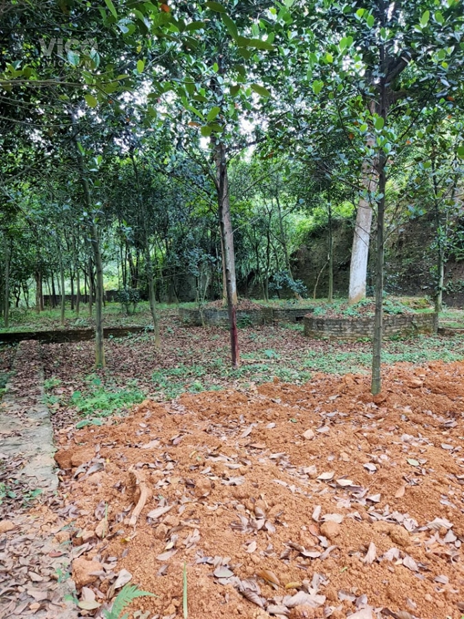 Chính chủ Bán trên 2000m đất nghỉ dưỡng xã Tiên Phương, Chương Mỹ