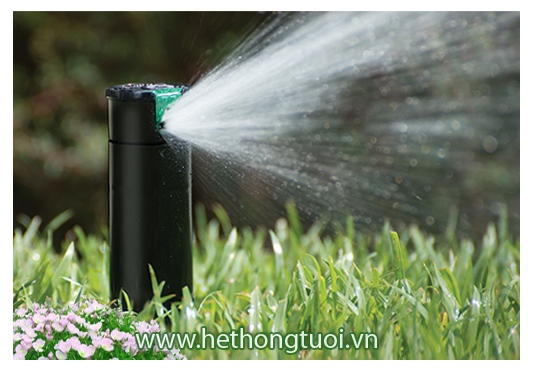 Tưới sân vườn,hệ thống tưới sân vườn,vòi phun tưới cỏ,vòi phun tưới cảnh quan