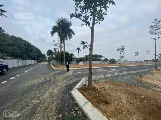 Bán gấp tái định cư gần KCN Vin, Sun, FPT, Khu ĐHQG, Bệnh viện TW. Đầu tư cực tốt