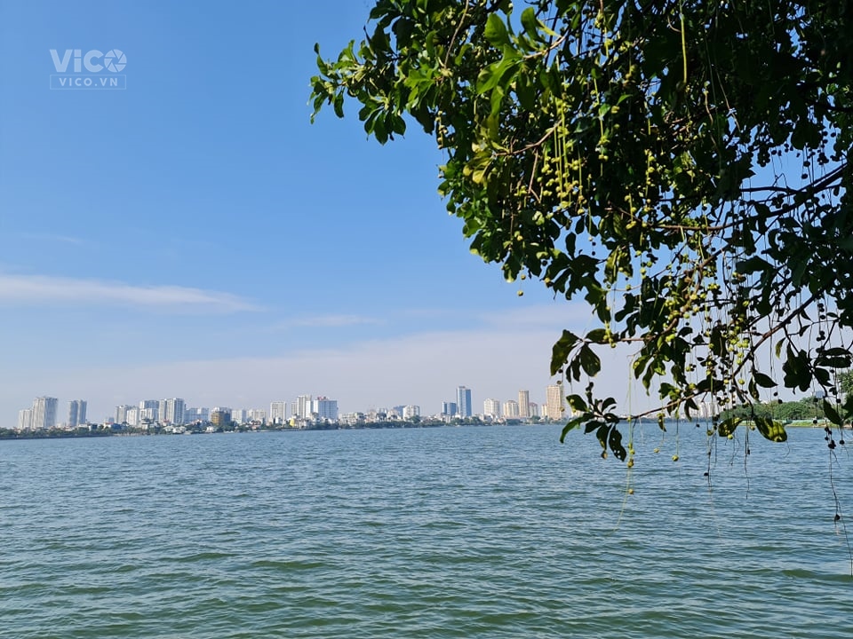 Hiếm Tây Hồ. Đất Vàng_Mặt Ngõ_Vỉa Hè Ôtô, Kinh Doanh Phố Đặng Thai Mai, 212m2, Giá 48 Tỷ