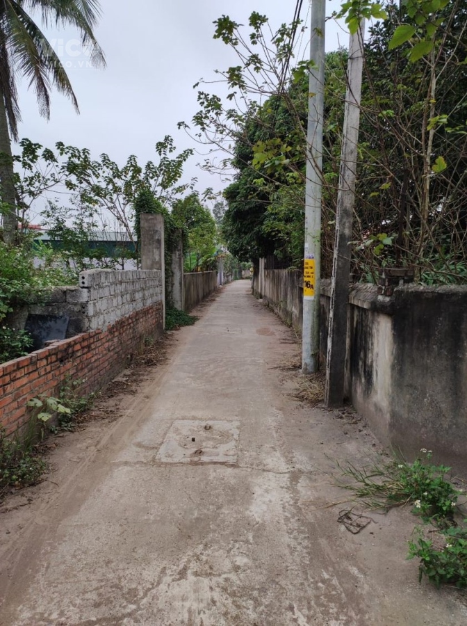 Bán lô đất đầu tư rẻ nhất Thường Tín, giá chỉ 600tr